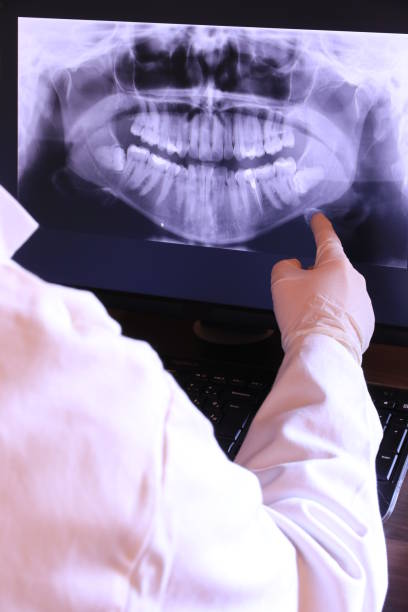 Best Emergency X-Rays and Diagnostics in Chipley, FL